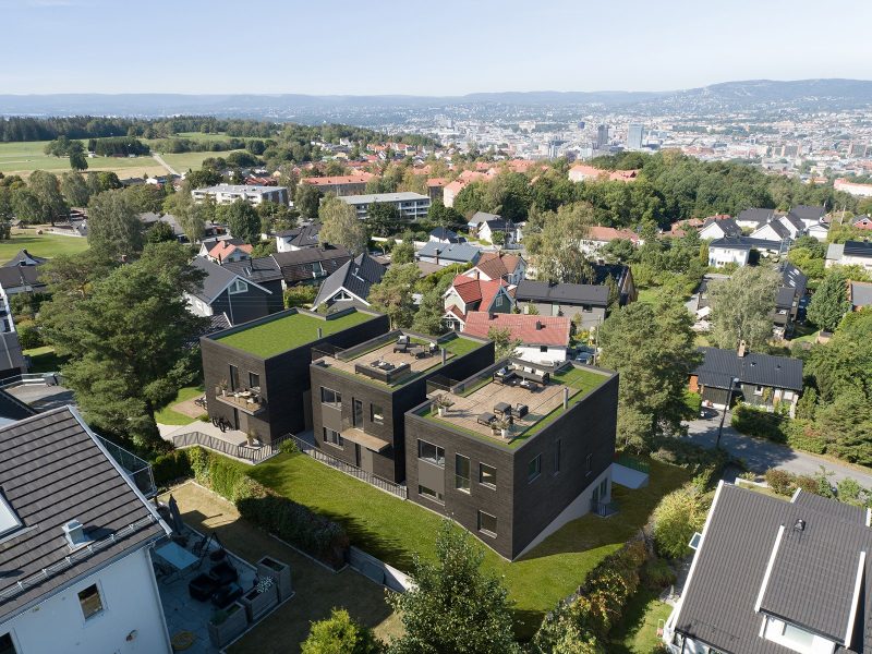 3D illustrasjon oversikt